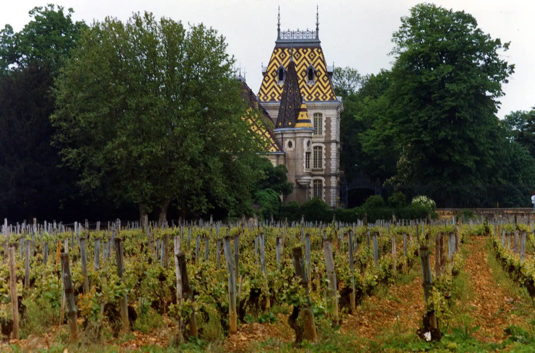 Fun Things to Do in Aloxe-Corton | Travel Guide (2024) | Best Places to Visit