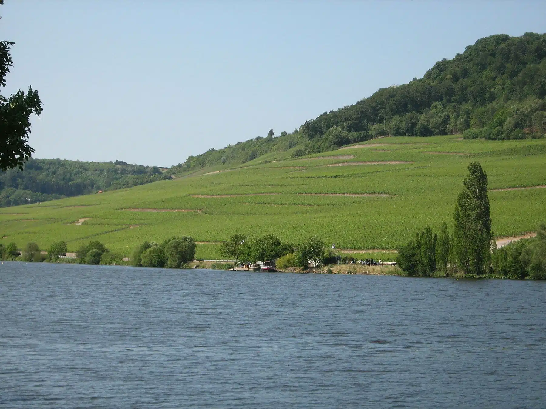 Fun Things to Do in Moselle Valley | Travel Guide (2024) | Best Places to Visit