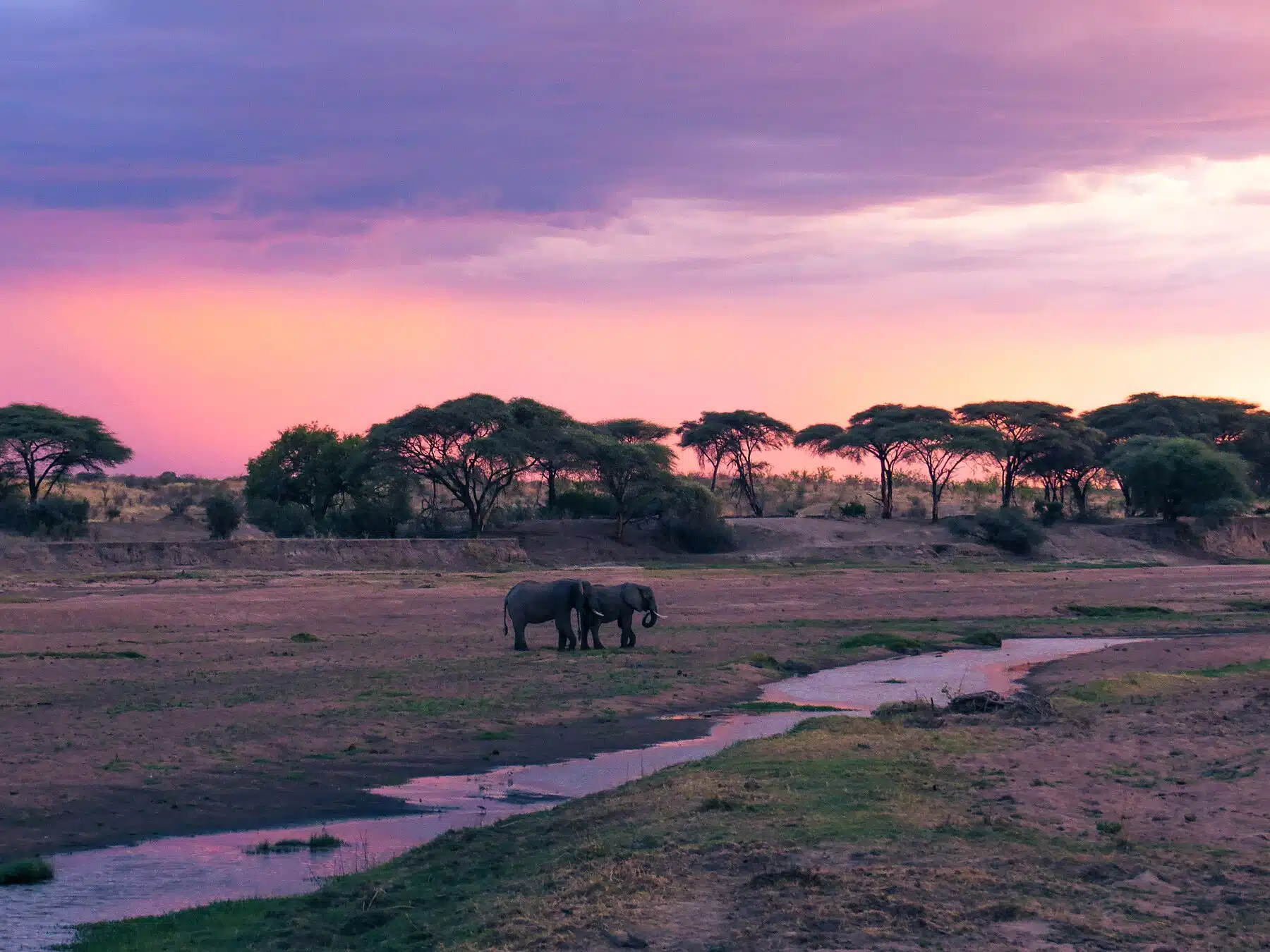 Fun Things to Do in Ruaha National Park | Travel Guide (2024) | Best Places to Visit