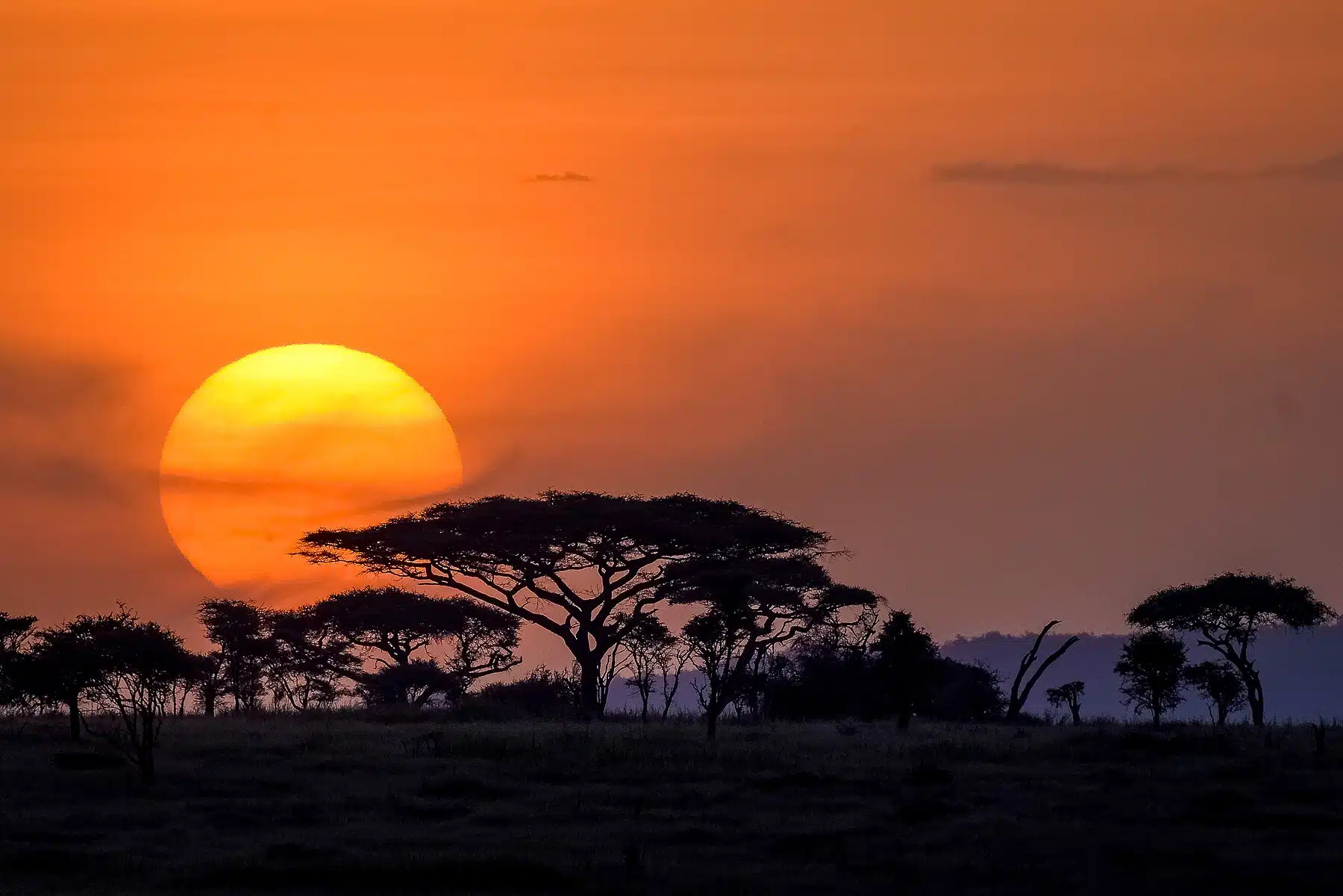 Fun Things to Do in Serengeti | Travel Guide (2024) | Best Places to Visit