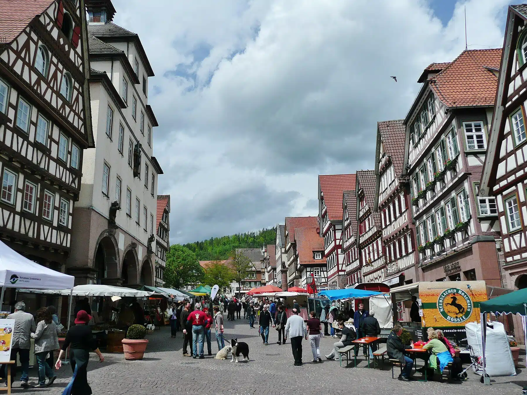 Fun Things to Do in Calw | Travel Guide (2024) | Best Places to Visit
