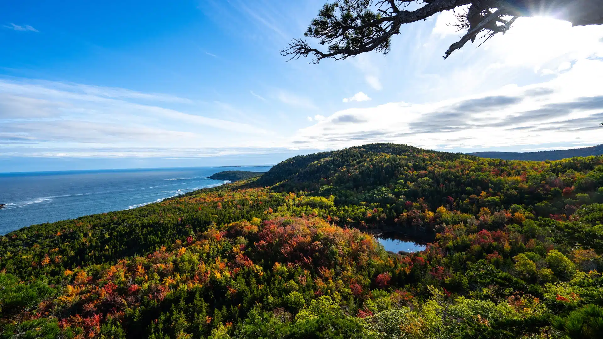 Fun Things to Do in Bar Harbor | Travel Guide (2024) | Best Places to Visit