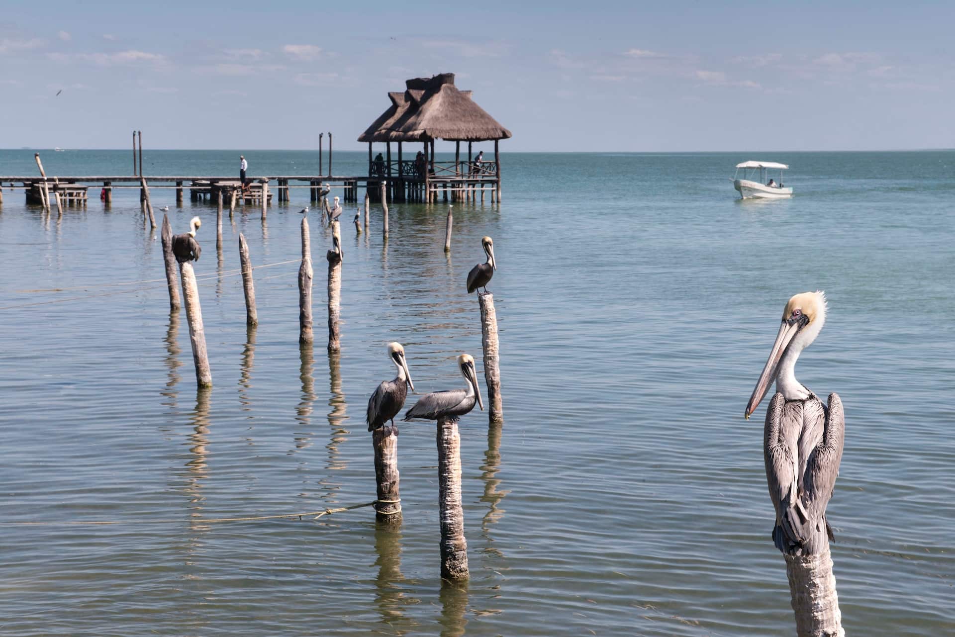 Campeche Image