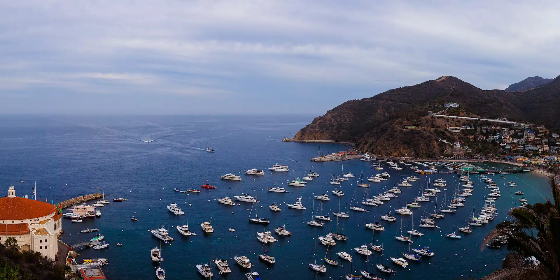 Fun Things to Do in Catalina Island | Travel Guide (2024) | Best Places to Visit