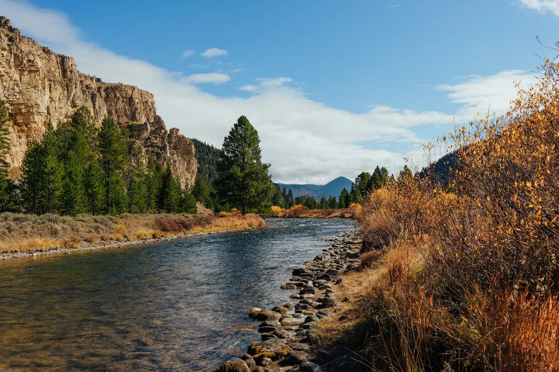 Fun Things to Do in Custer | Travel Guide (2024) | Best Places to Visit