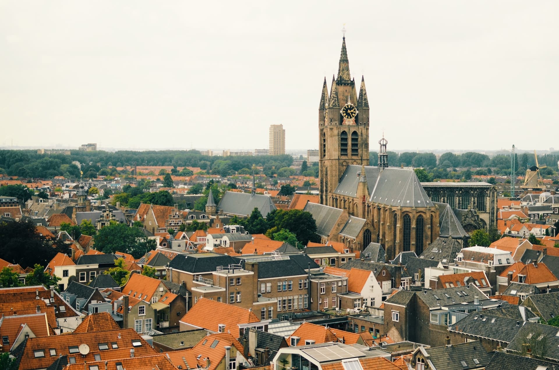 Delft Image