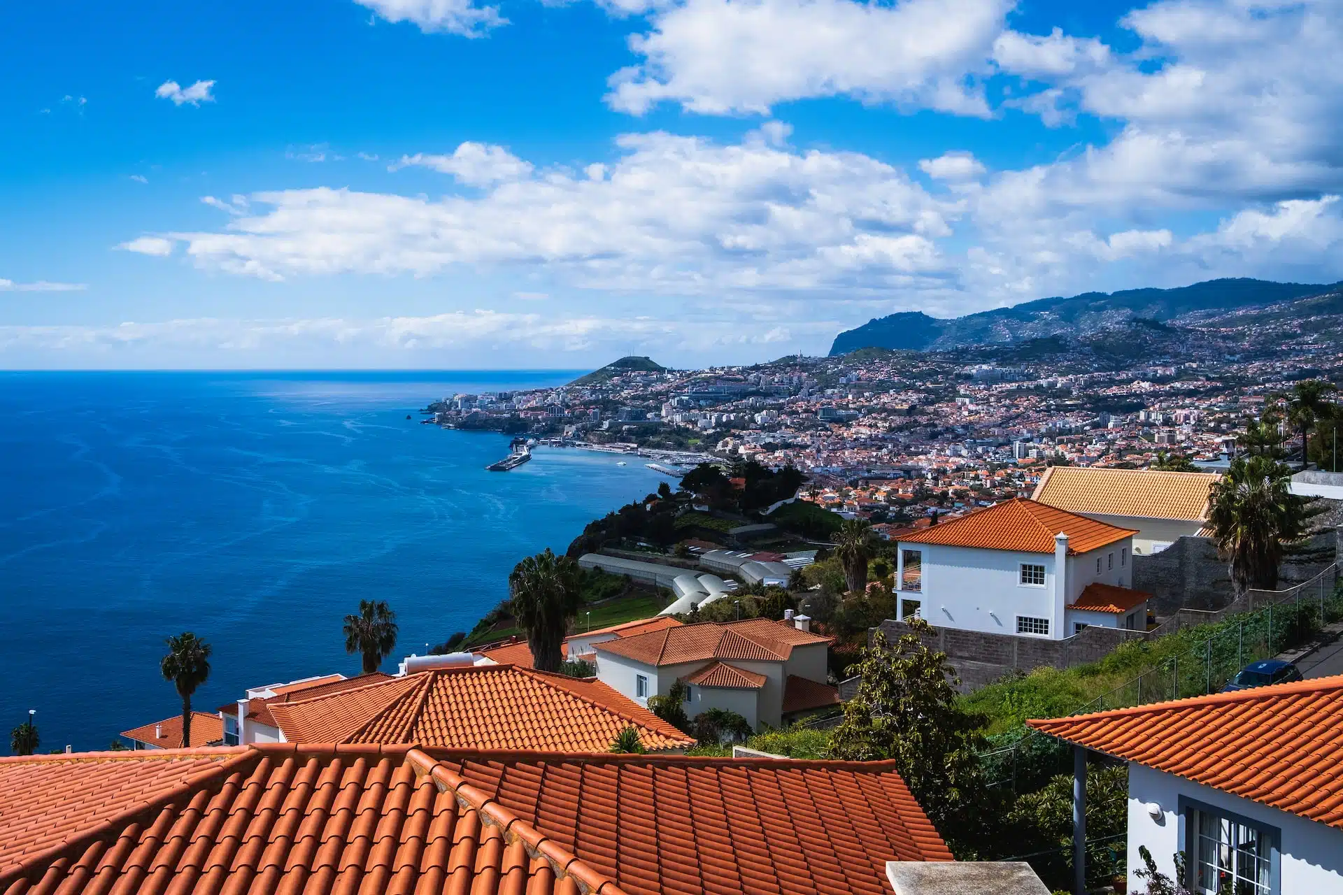 Fun Things to Do in Funchal | Travel Guide (2024) | Best Places to Visit