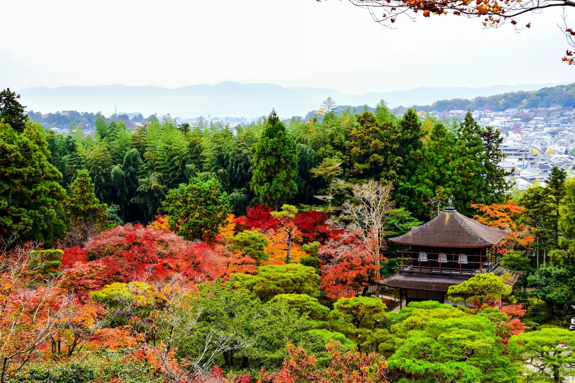Fun Things to Do in Kyoto | Travel Guide (2024) | Best Places to Visit