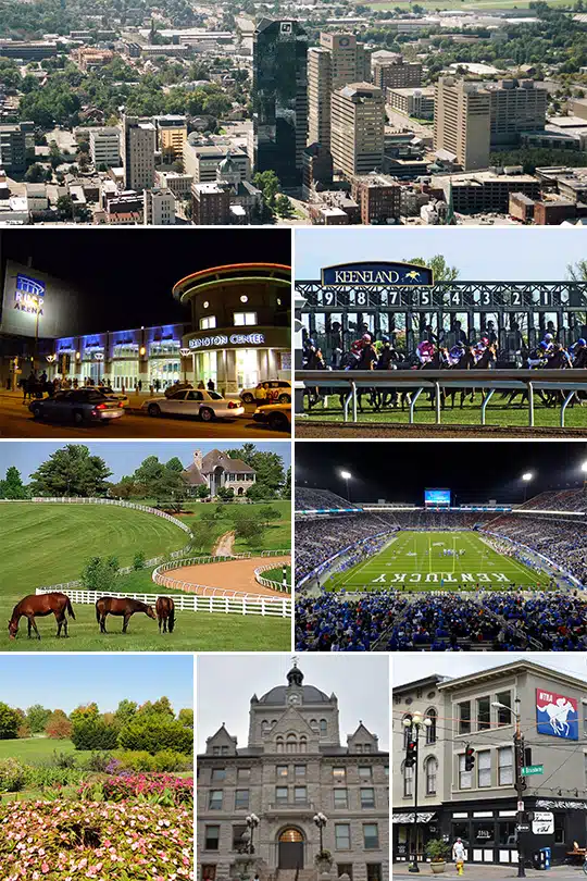 Fun Things to Do in Lexington | Travel Guide (2024) | Best Places to Visit