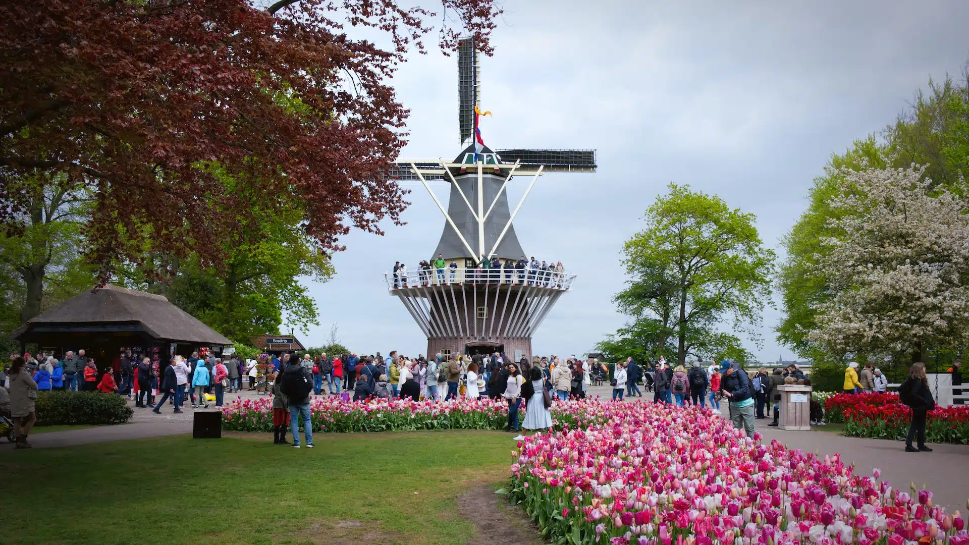 Fun Things to Do in Lisse | Travel Guide (2024) | Best Places to Visit
