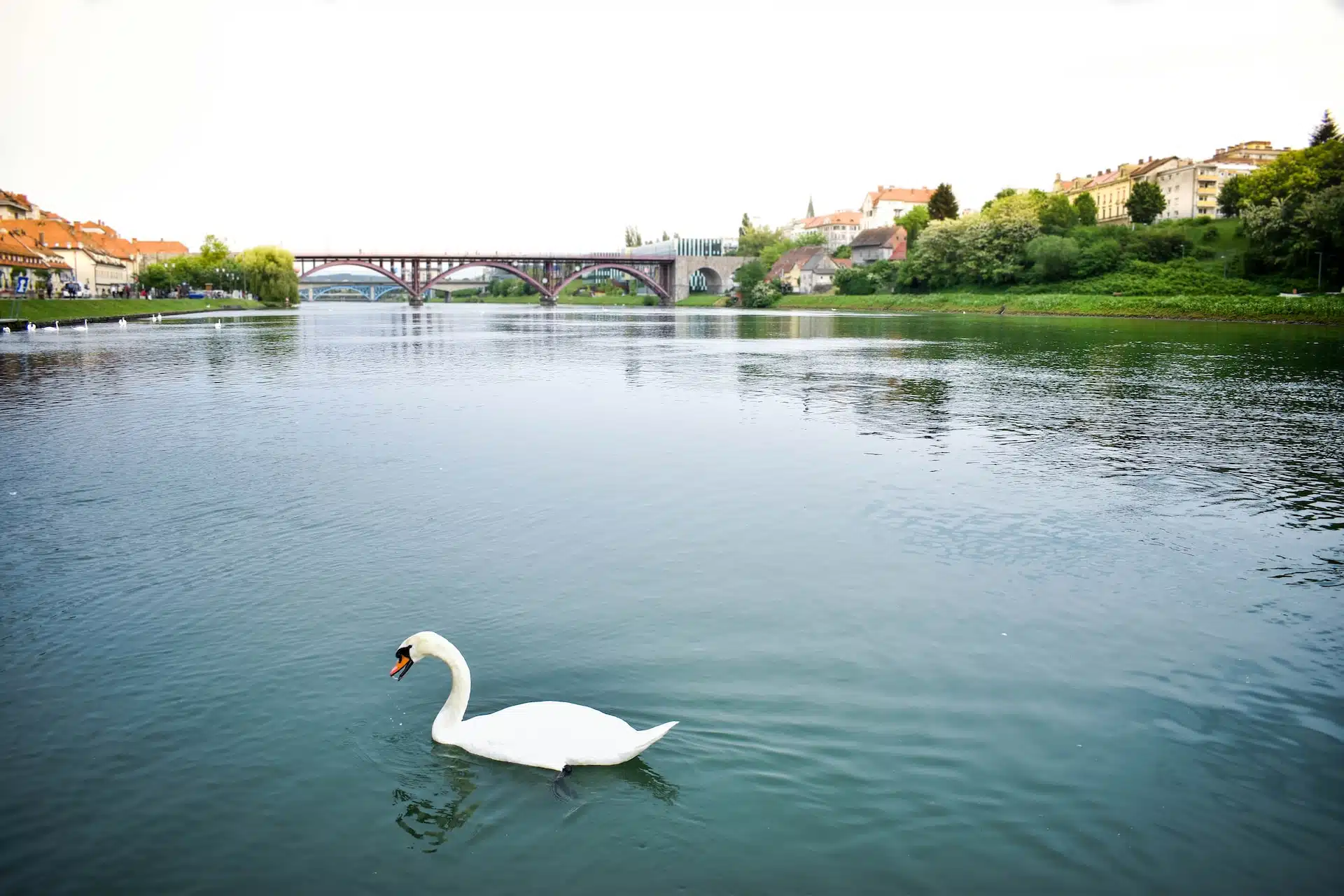 Fun Things to Do in Maribor | Travel Guide (2024) | Best Places to Visit