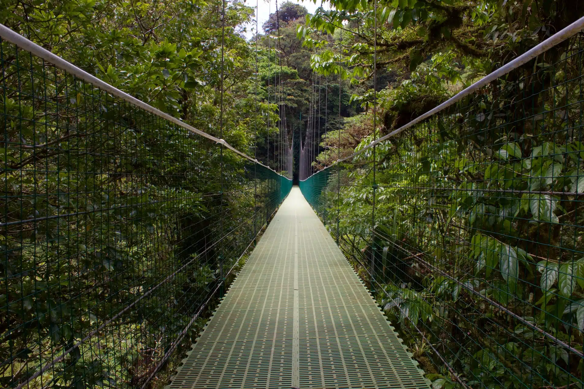Fun Things to Do in Monteverde | Travel Guide (2024) | Best Places to Visit