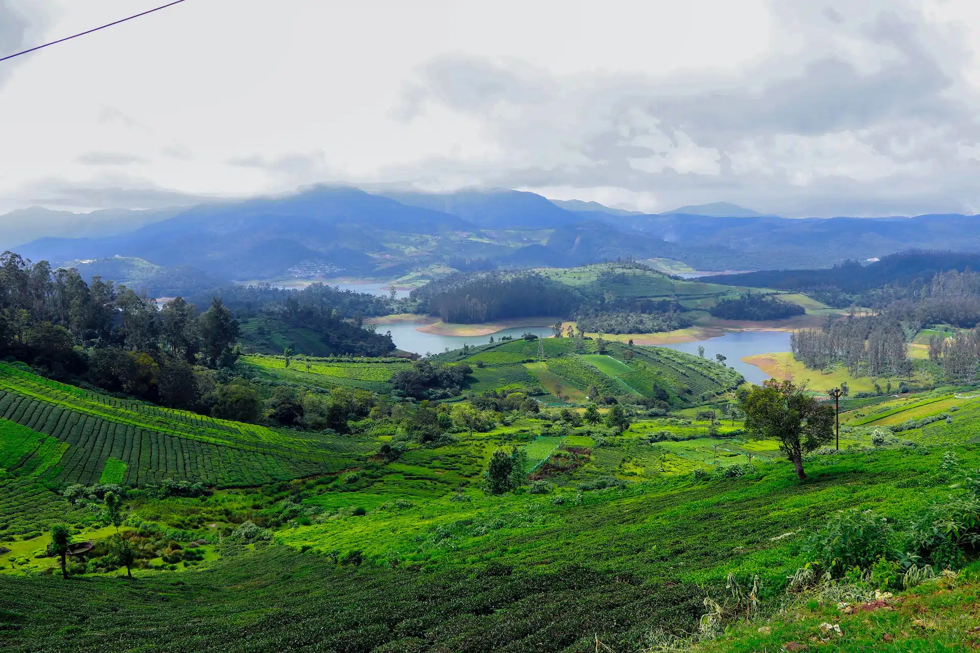 Fun Things to Do in Ooty | Travel Guide (2024) | Best Places to Visit