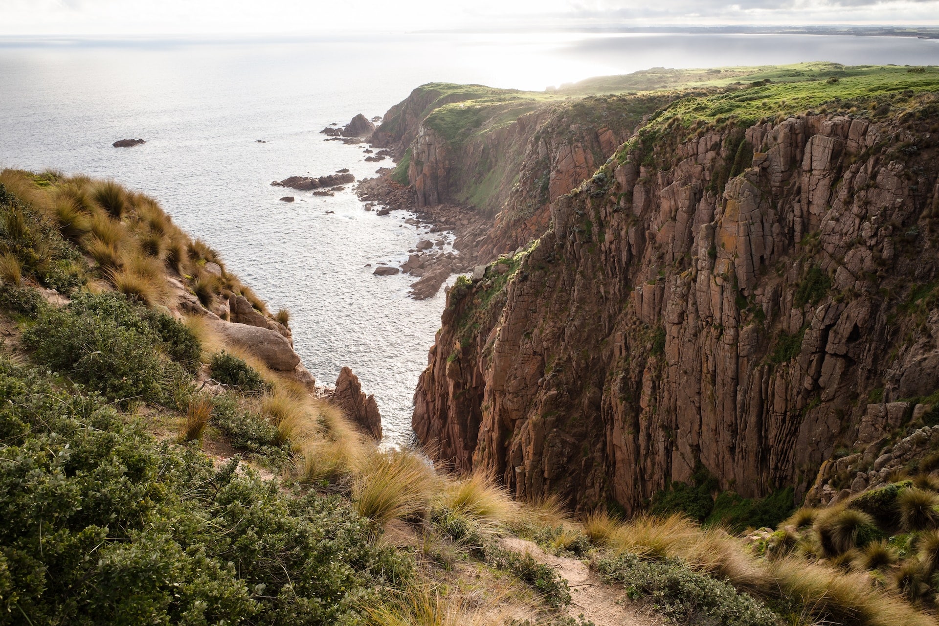 Phillip Island Image