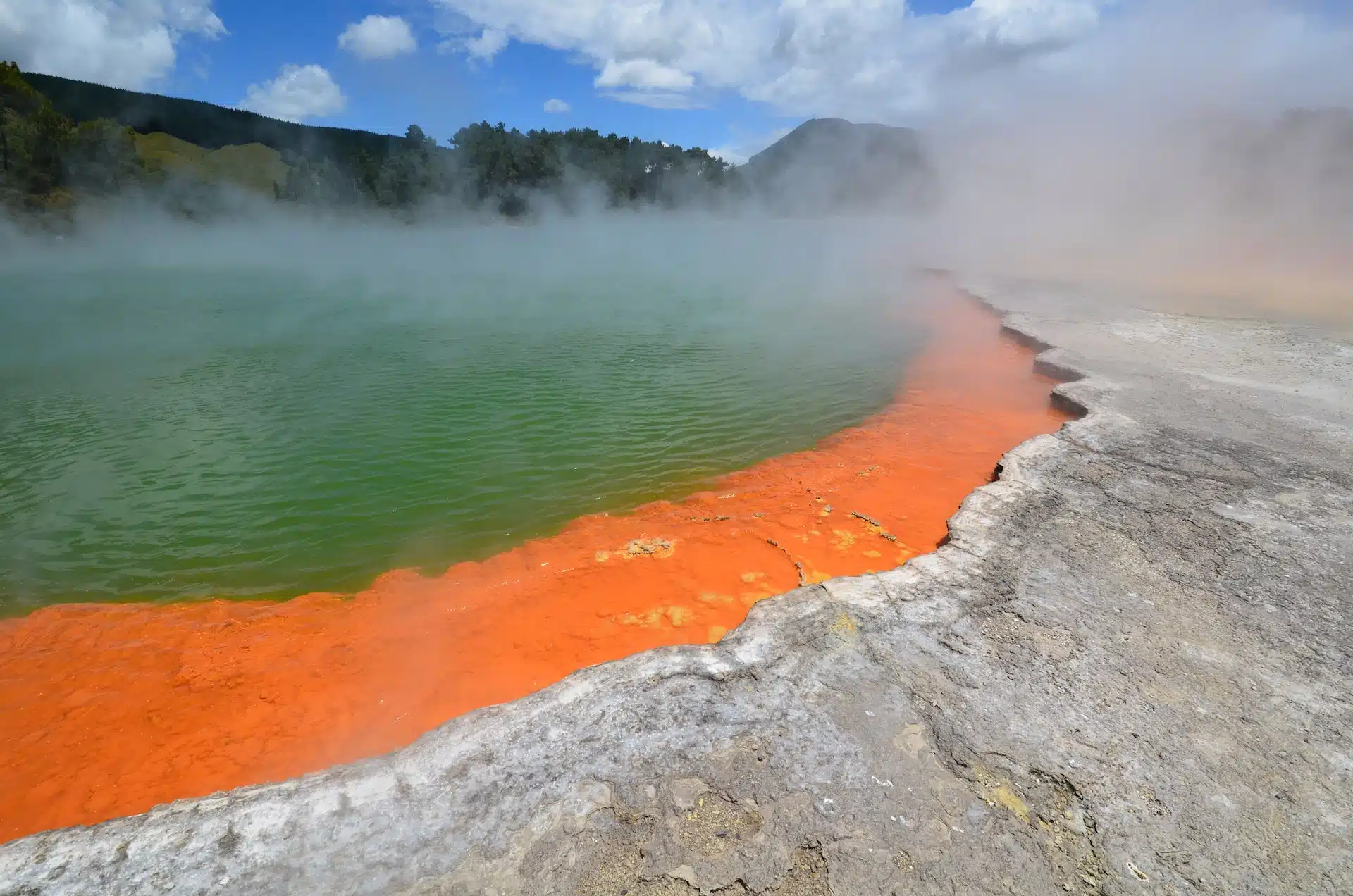 Fun Things to Do in Rotorua | Travel Guide (2024) | Best Places to Visit