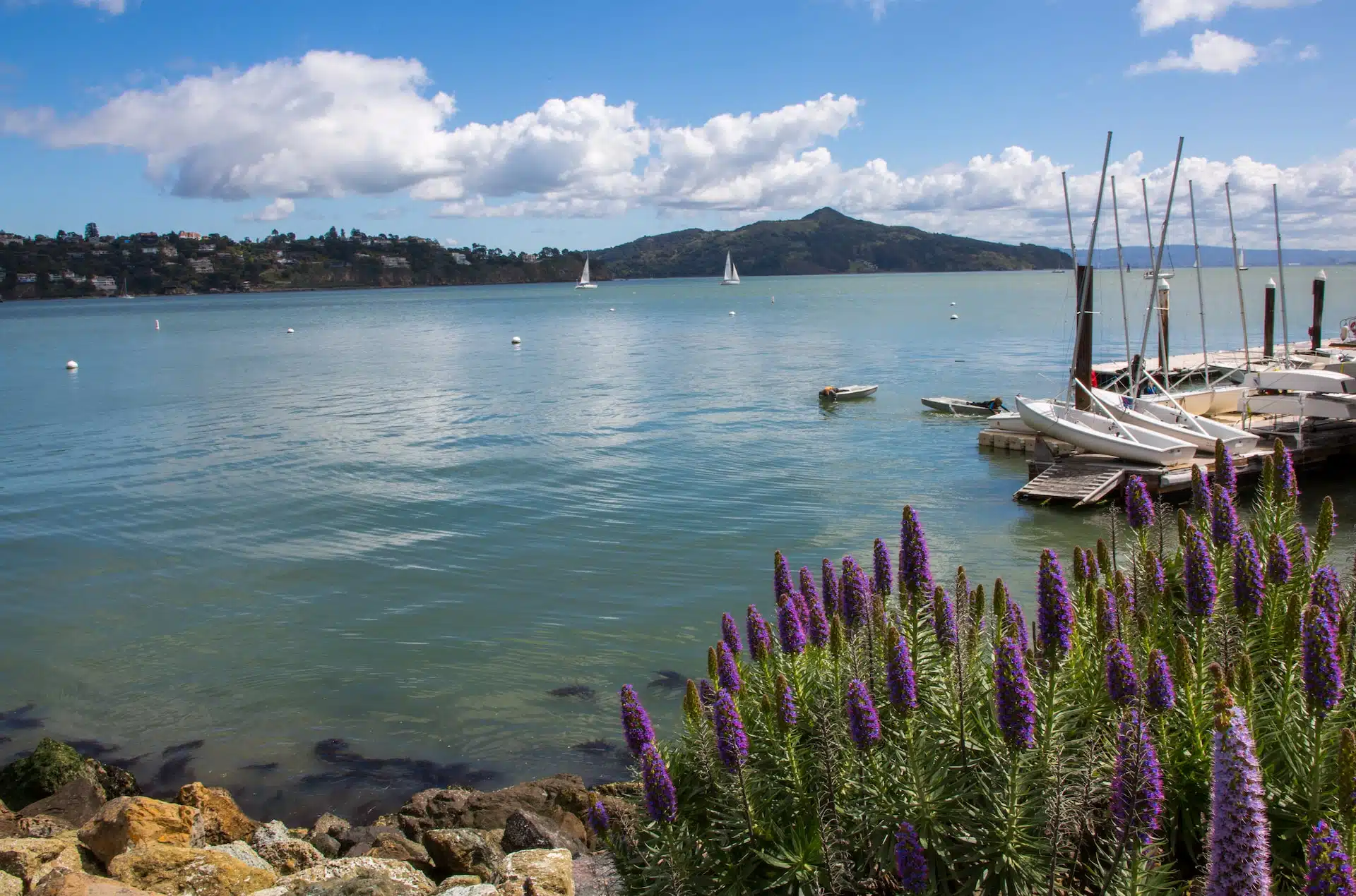 Fun Things to Do in Sausalito | Travel Guide (2024) | Best Places to Visit