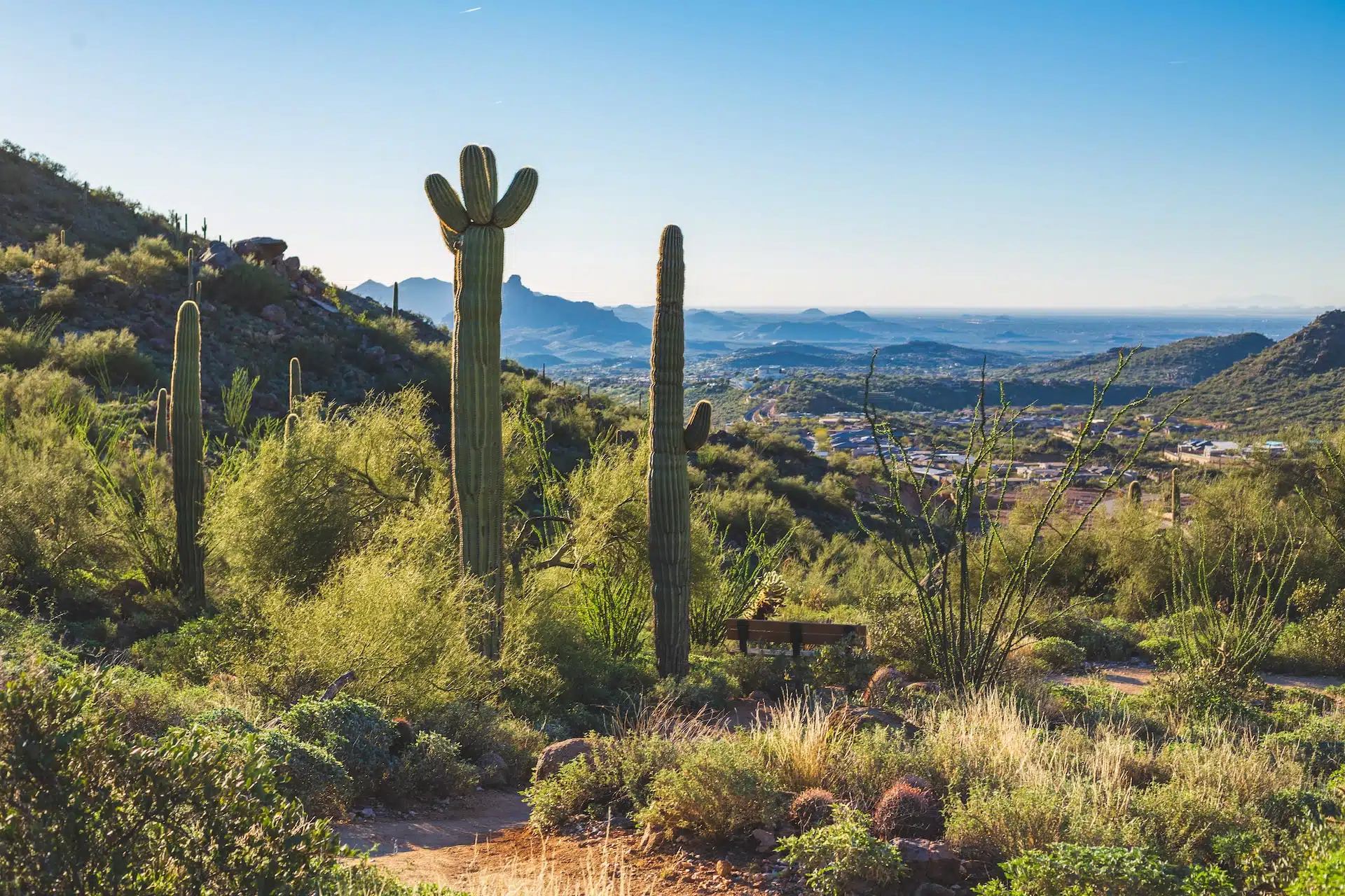 Fun Things to Do in Scottsdale | Travel Guide (2024) | Best Places to Visit