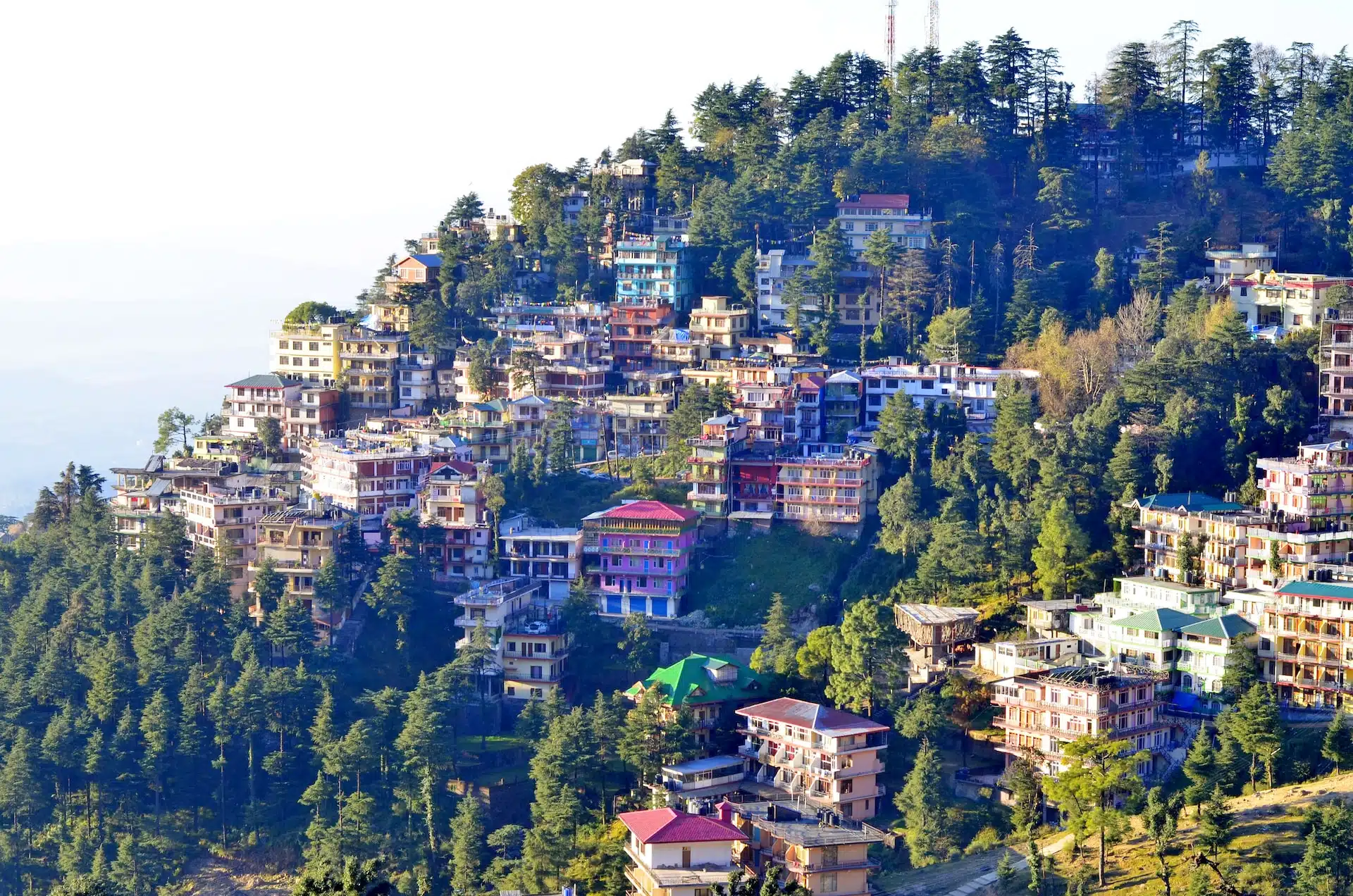 Fun Things to Do in Shimla | Travel Guide (2024) | Best Places to Visit