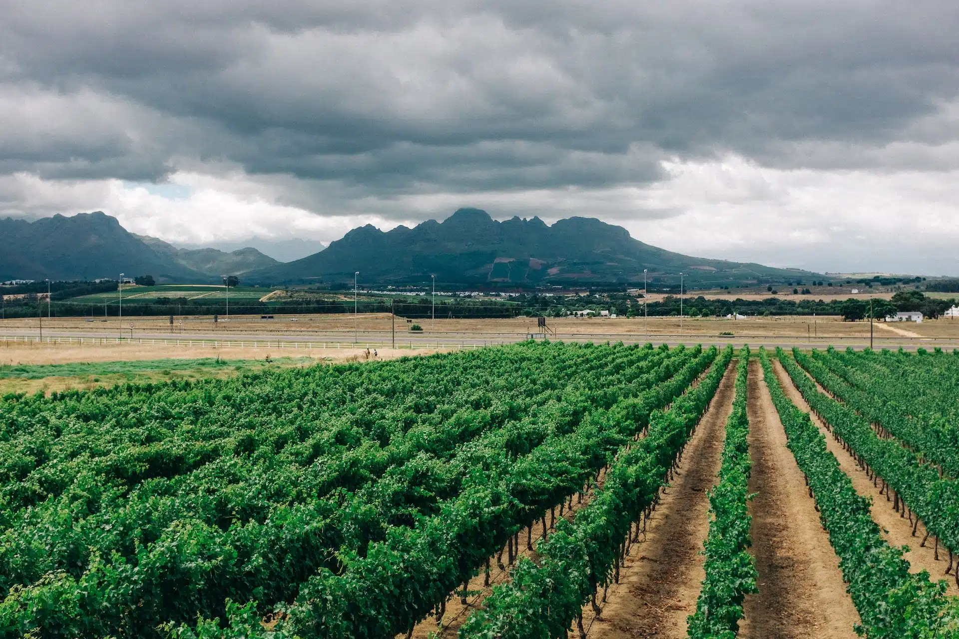 Fun Things to Do in Stellenbosch | Travel Guide (2024) | Best Places to Visit