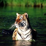 100 Best Nature & Wildlife Destinations in the World