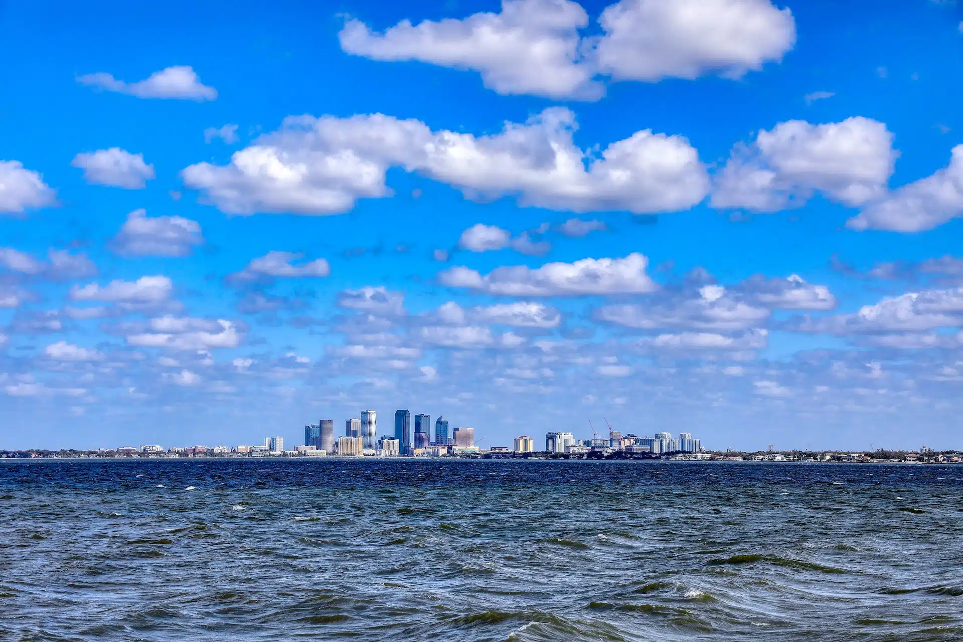 Fun Things to Do in Tampa | Travel Guide (2024) | Best Places to Visit