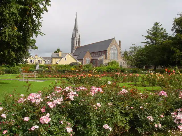 Fun Things to Do in Tralee | Travel Guide (2024) | Best Places to Visit