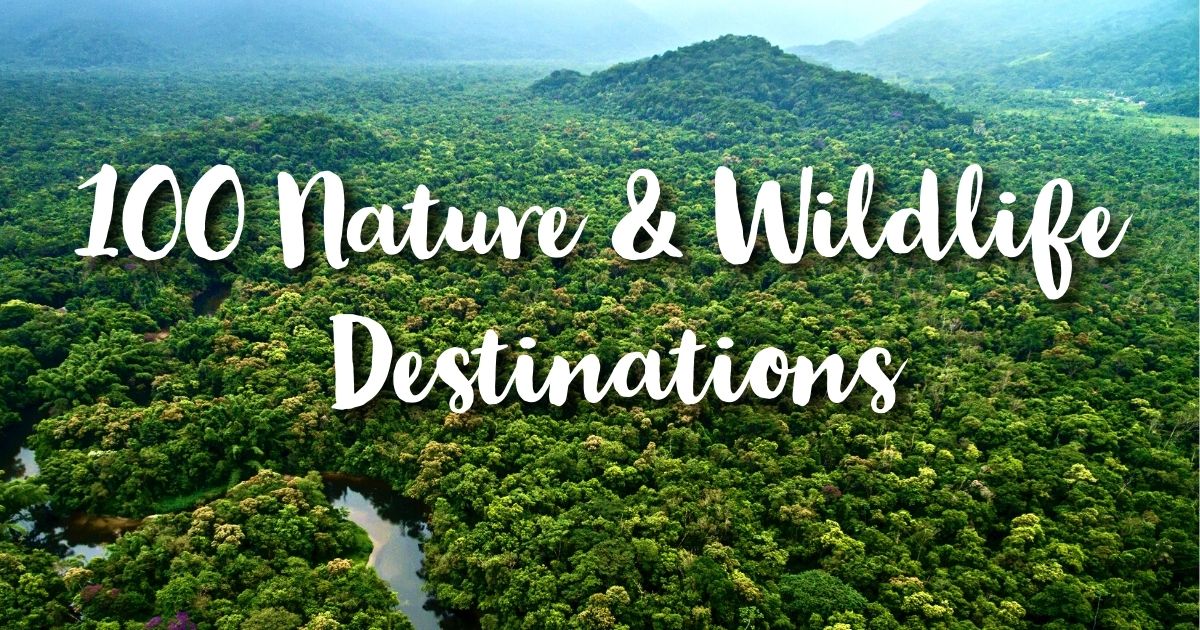 Top Nature and wildlife Destinations Amazon Rain forest