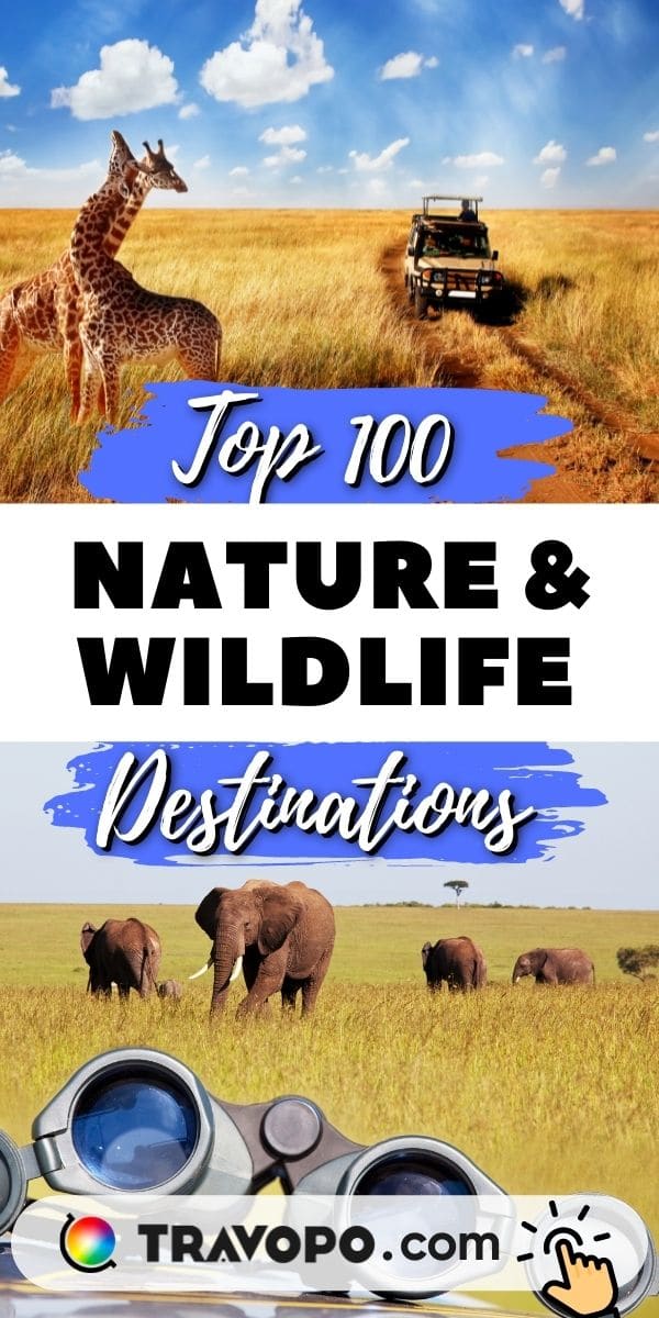 Top wildlife safari destinations