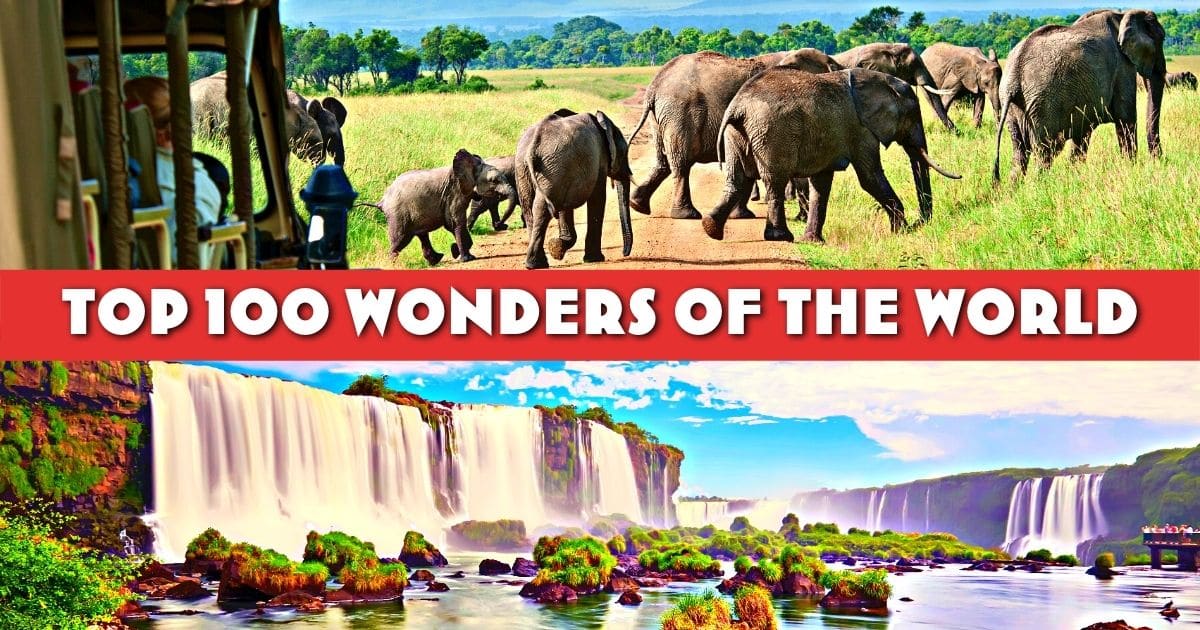 Wonders Of The World African Safari