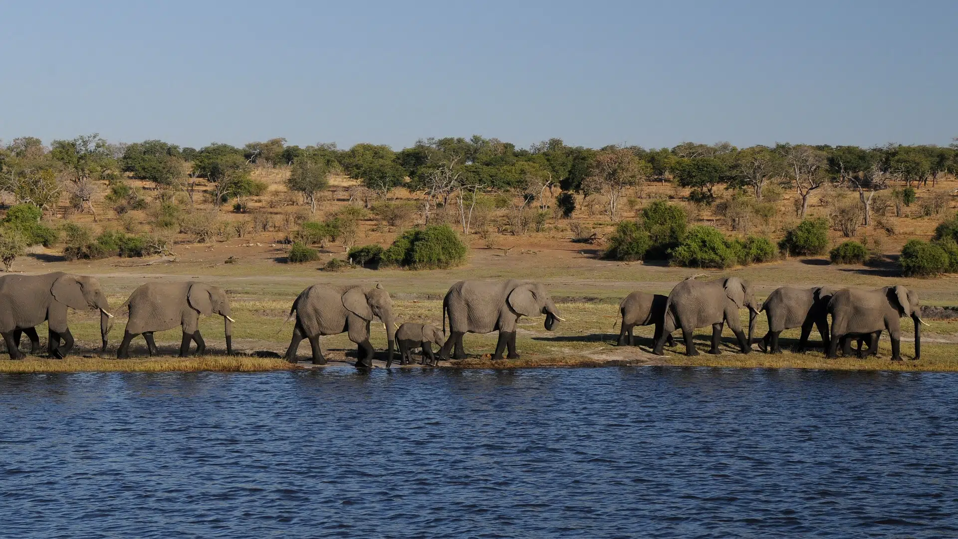 Fun Things to Do in Botswana | Travel Guide (2024) | Best Places to Visit