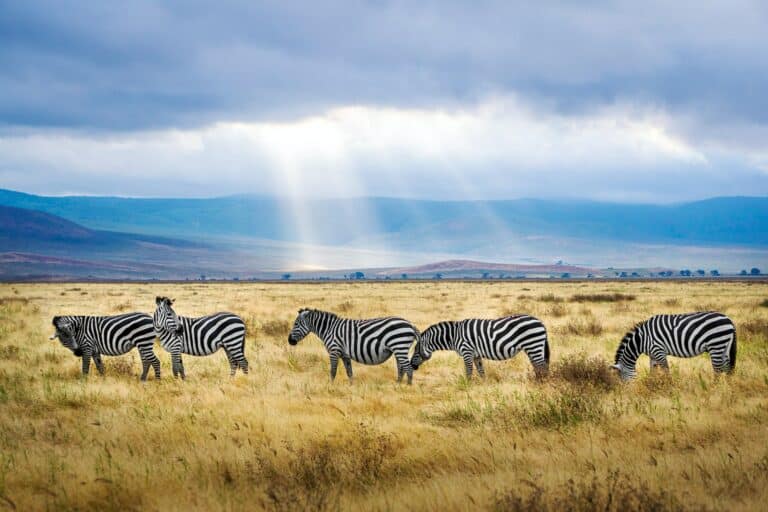21 Best Places to Visit in Africa